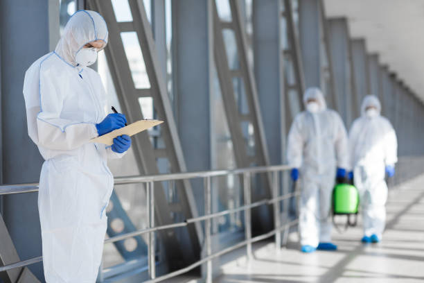 Best Mold Damage Restoration  in Mountain Home Af, ID