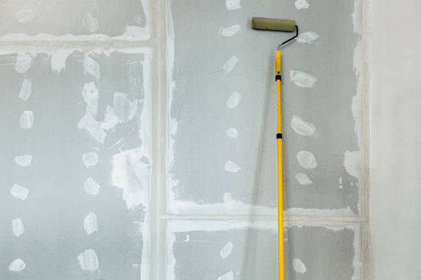 Environmental Consulting for Mold Prevention in Mountain Home Af, ID